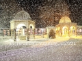 10838211_755322787887825_3957576188901557275_o